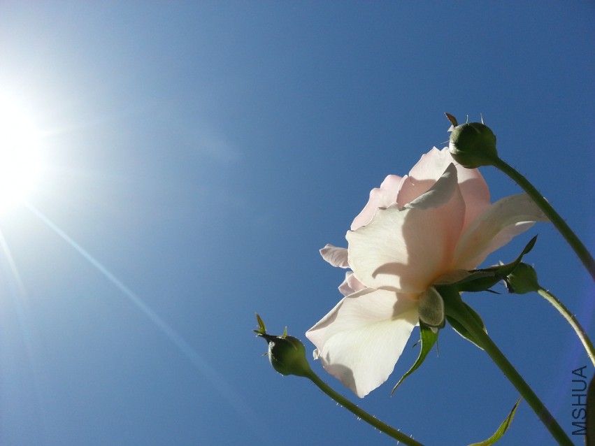 WP_20150512_011.jpg