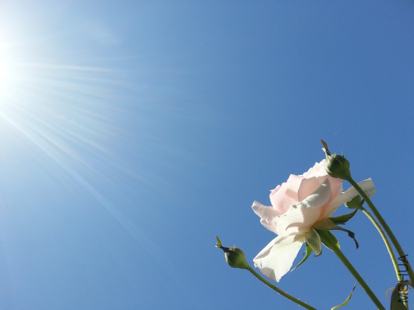 WP_20150512_012.jpg