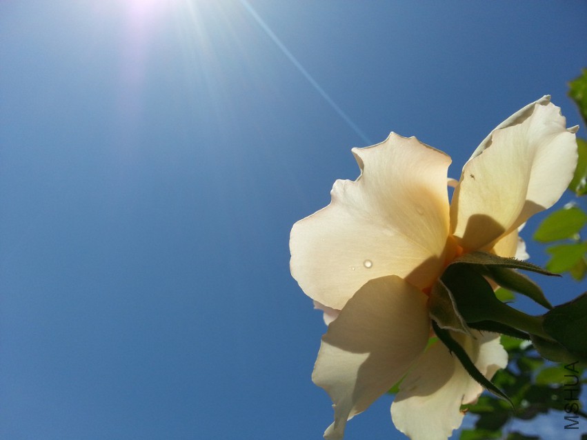 WP_20150512_016.jpg