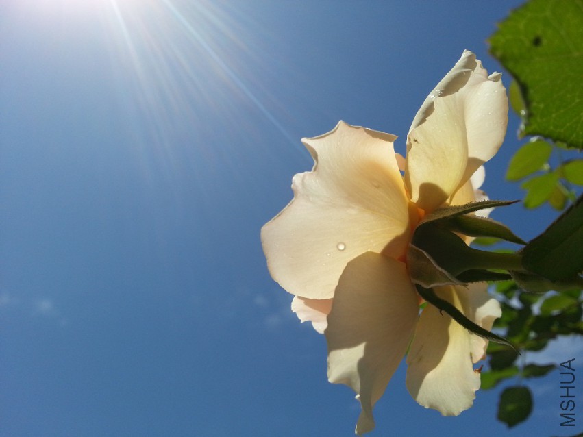 WP_20150512_017.jpg