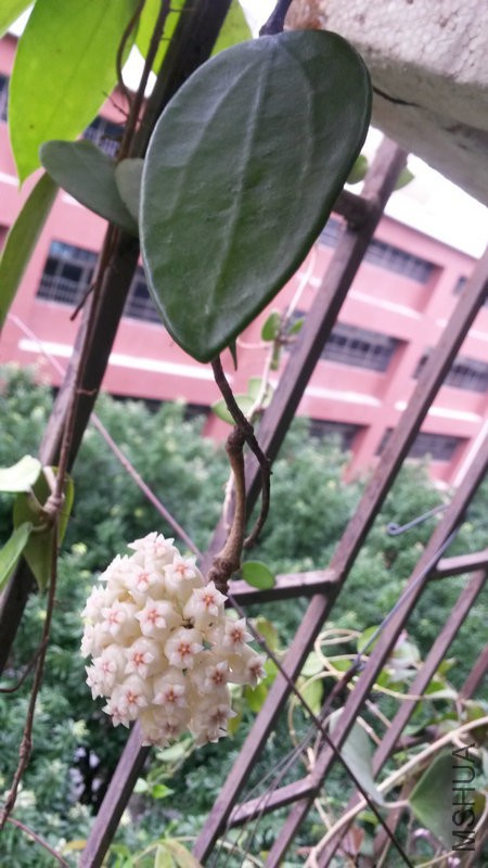 20150512_073207.jpg