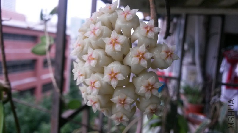 20150512_073108.jpg