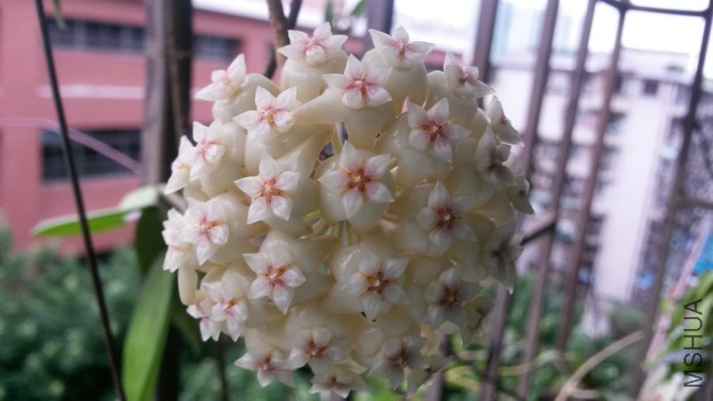 20150512_073130.jpg
