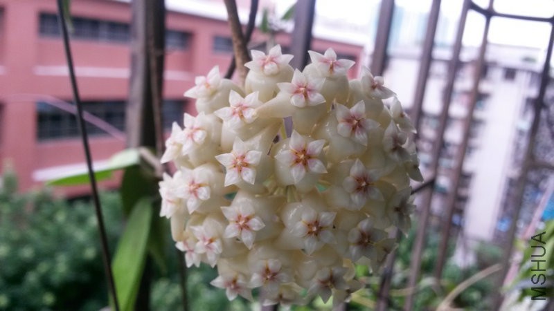 20150512_073136.jpg