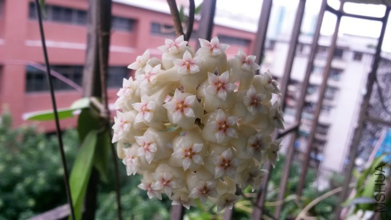 20150512_073144.jpg