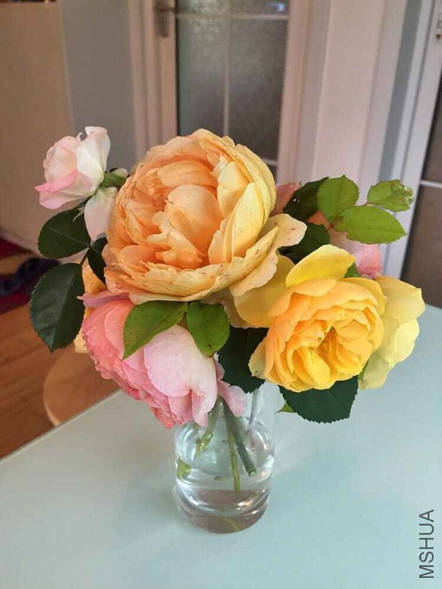 QQͼƬ20150513103307.jpg