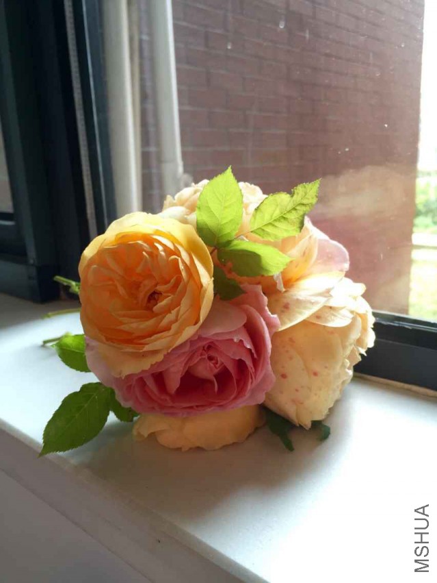 QQͼƬ20150513103251.jpg