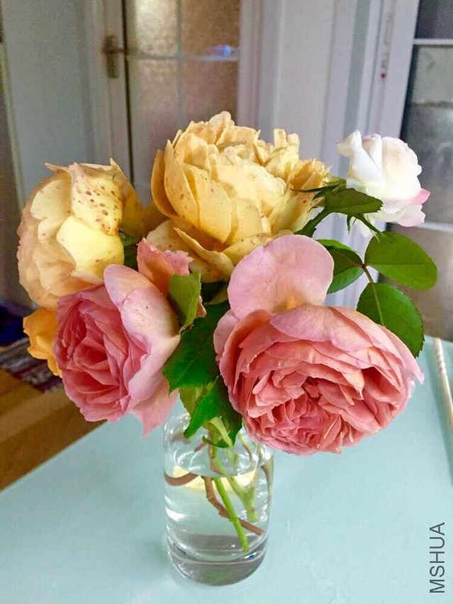 QQͼƬ20150513103303.jpg