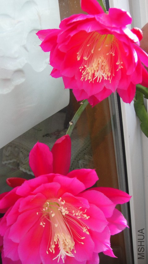 DSC00032.JPG