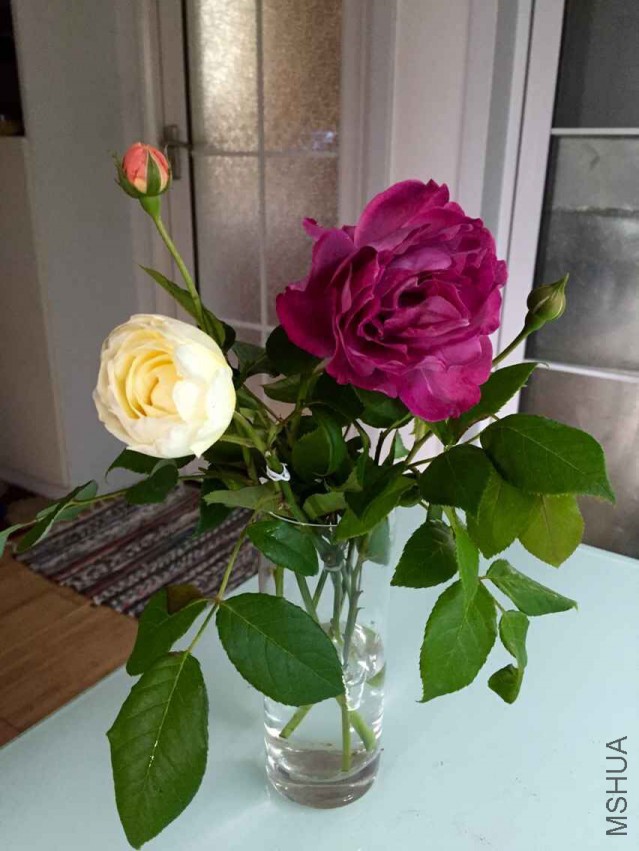QQͼƬ20150513104556.jpg