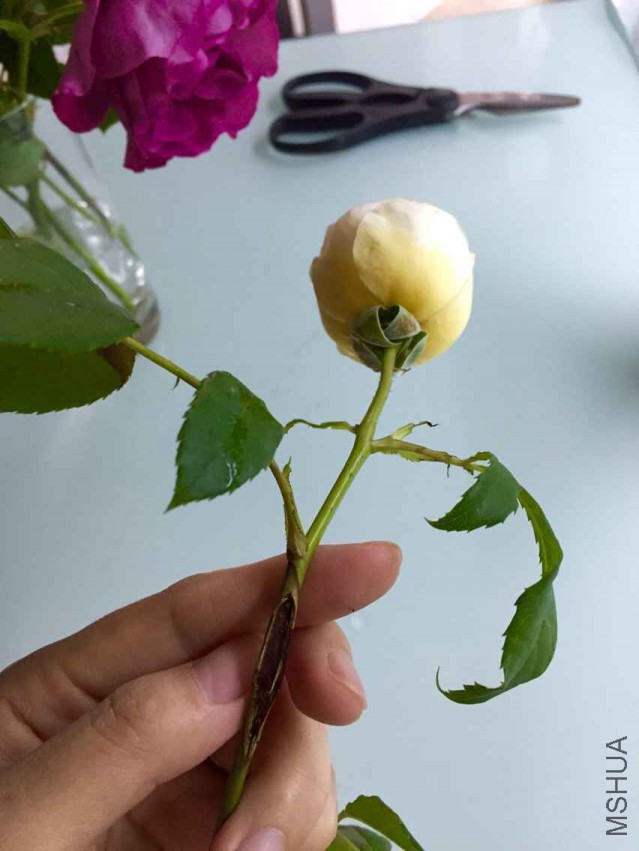 QQͼƬ20150513104600.jpg