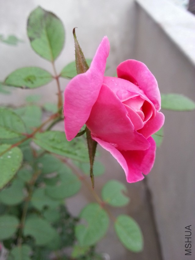 �⻷ 04.jpg