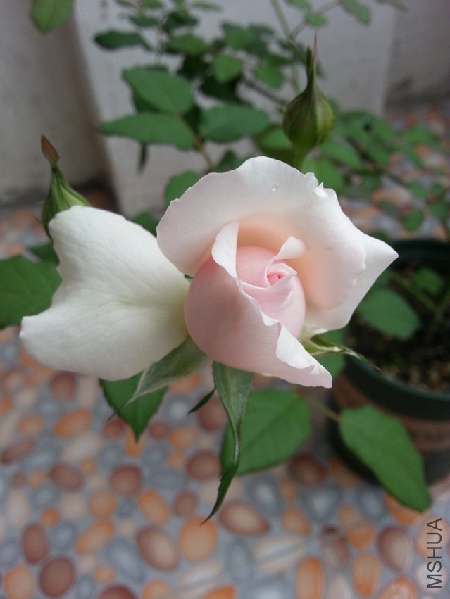 ���D 04.jpg