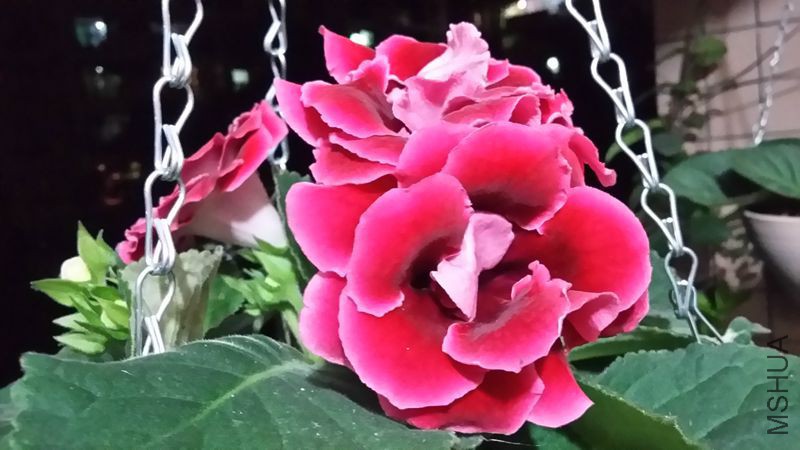 20150508_230335_LLS.jpg
