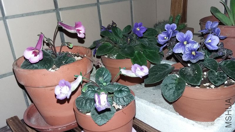 20150508_231244.jpg