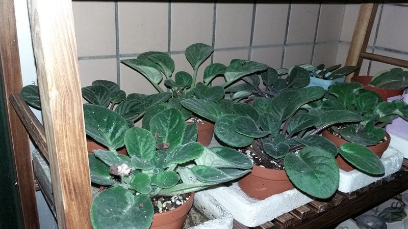 20150508_231313.jpg