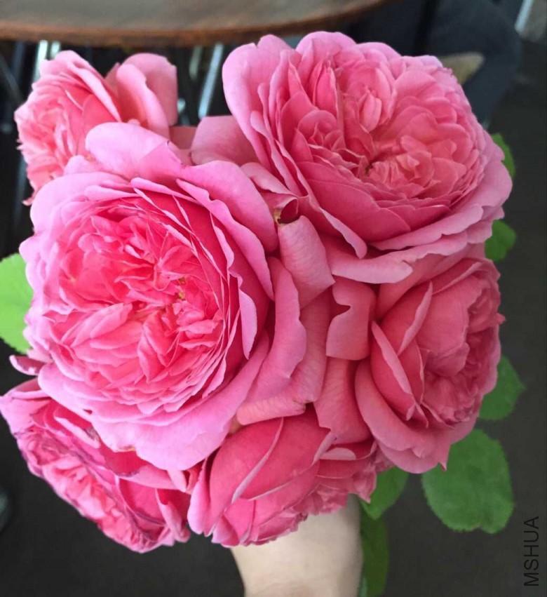 QQͼƬ20150512150933.jpg