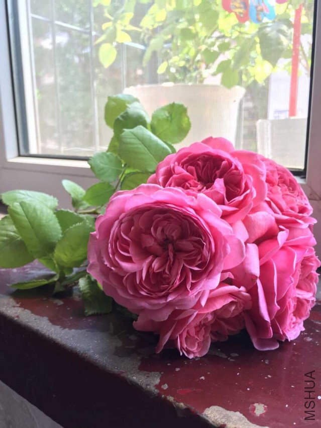 QQͼƬ20150512150946.jpg