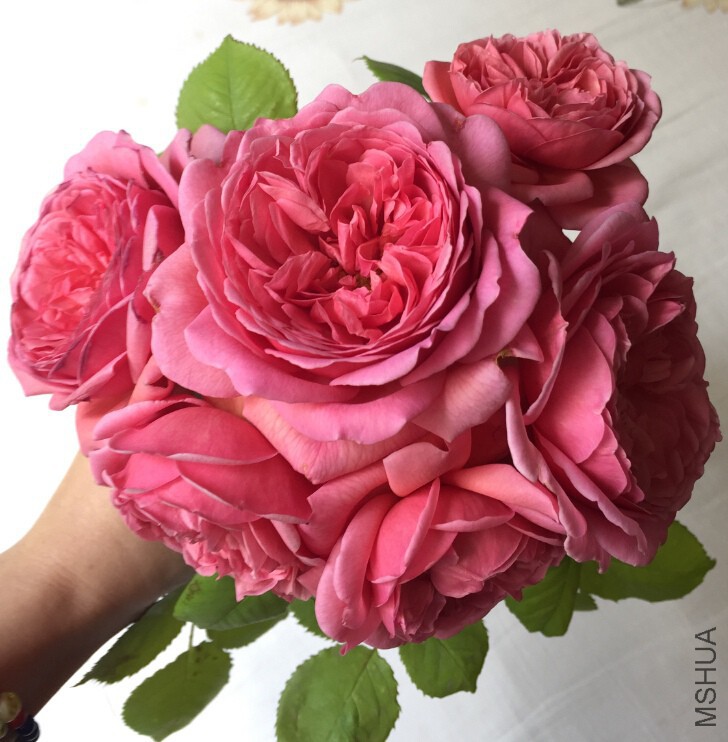 QQ��ͼ20150513165755_����.jpg