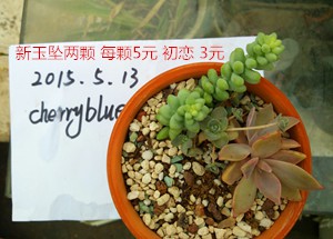 IMG_20150513_165319.jpg