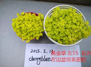IMG_20150513_171558.jpg