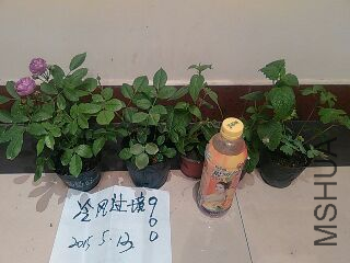 UC_Photo_087.jpg