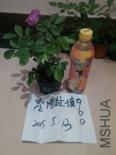 UC_Photo_088.jpg