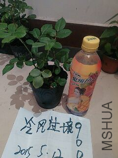 UC_Photo_089.jpg