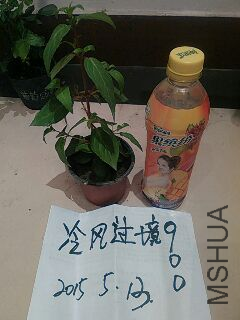 UC_Photo_090.jpg