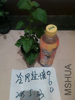 UC_Photo_091.jpg