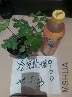 UC_Photo_092.jpg
