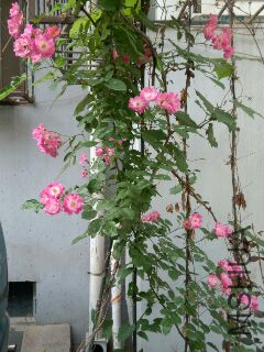 UC_Photo_010.jpg