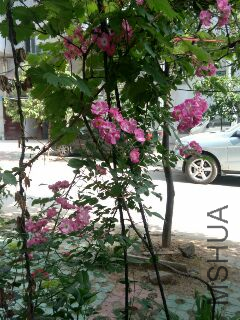 UC_Photo_013.jpg
