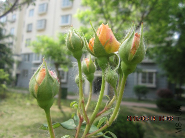 IMG_8782.JPG
