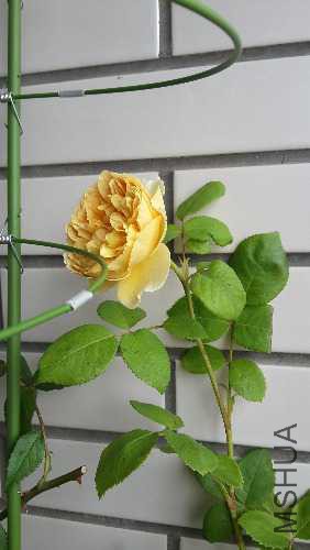 20150514_113700.jpg