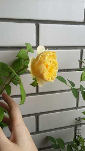 20150514_113816.jpg