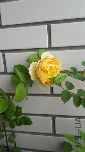 20150514_114001.jpg