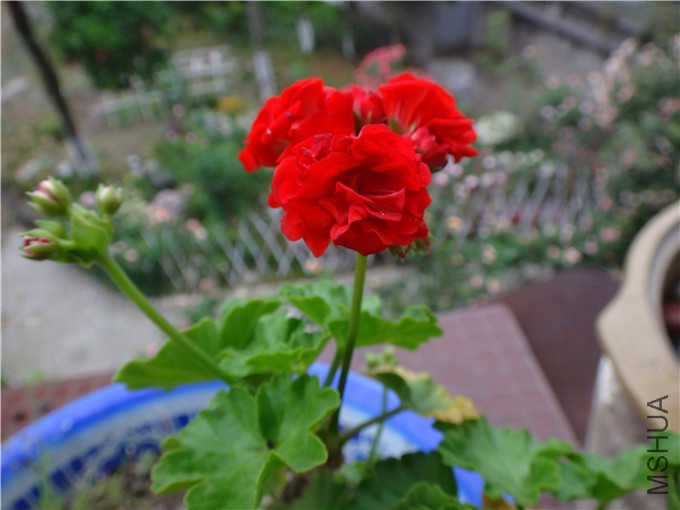 DSC05506_����.jpg