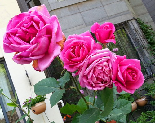 ����˹20150508A.jpg