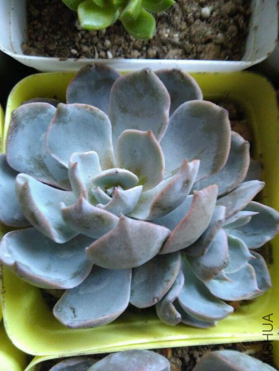 QQͼƬ20150514203149.jpg