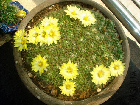 ���ǿ��� 013.jpg