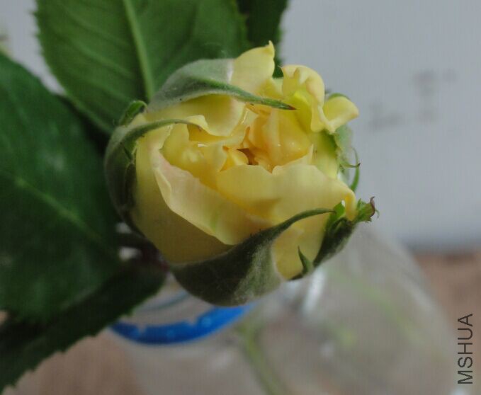 QQͼƬ20150514222514.jpg