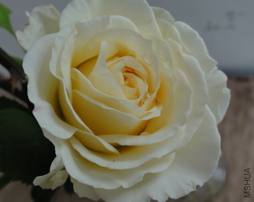 QQͼƬ20150514222511.jpg
