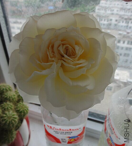 QQͼƬ20150514222728.jpg