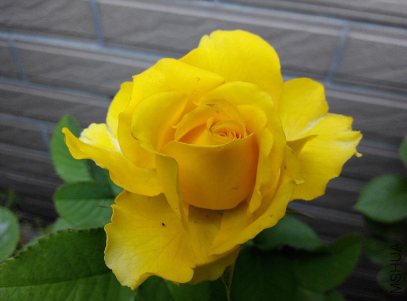 IMG_20150515_060739.jpg