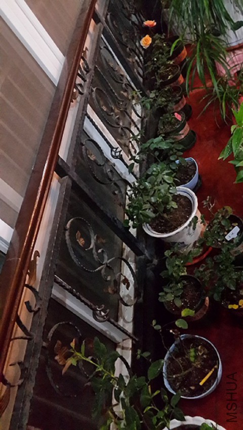 20150512_220612.jpg