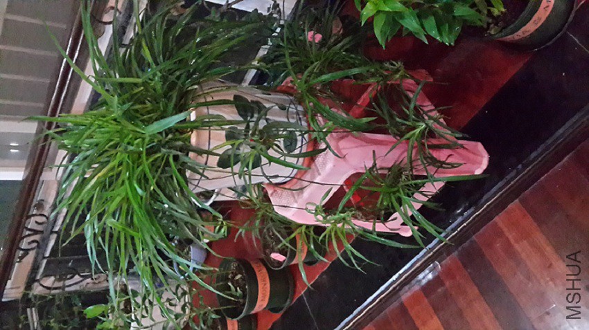 20150512_220425.jpg