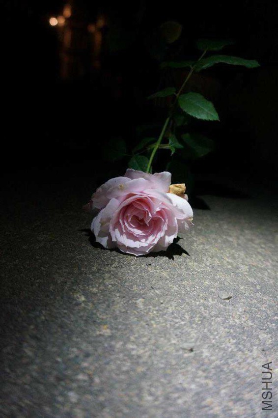 ���D ����