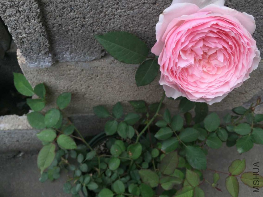 ���D ����