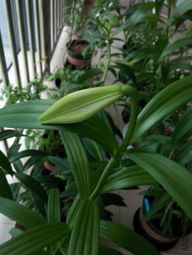 QQͼƬ20150509133705.jpg